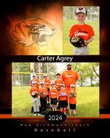 NR National League T-Ball 2024